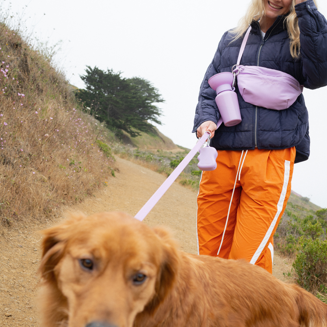 Hands-Free Dog Walking Bag WITH Leash