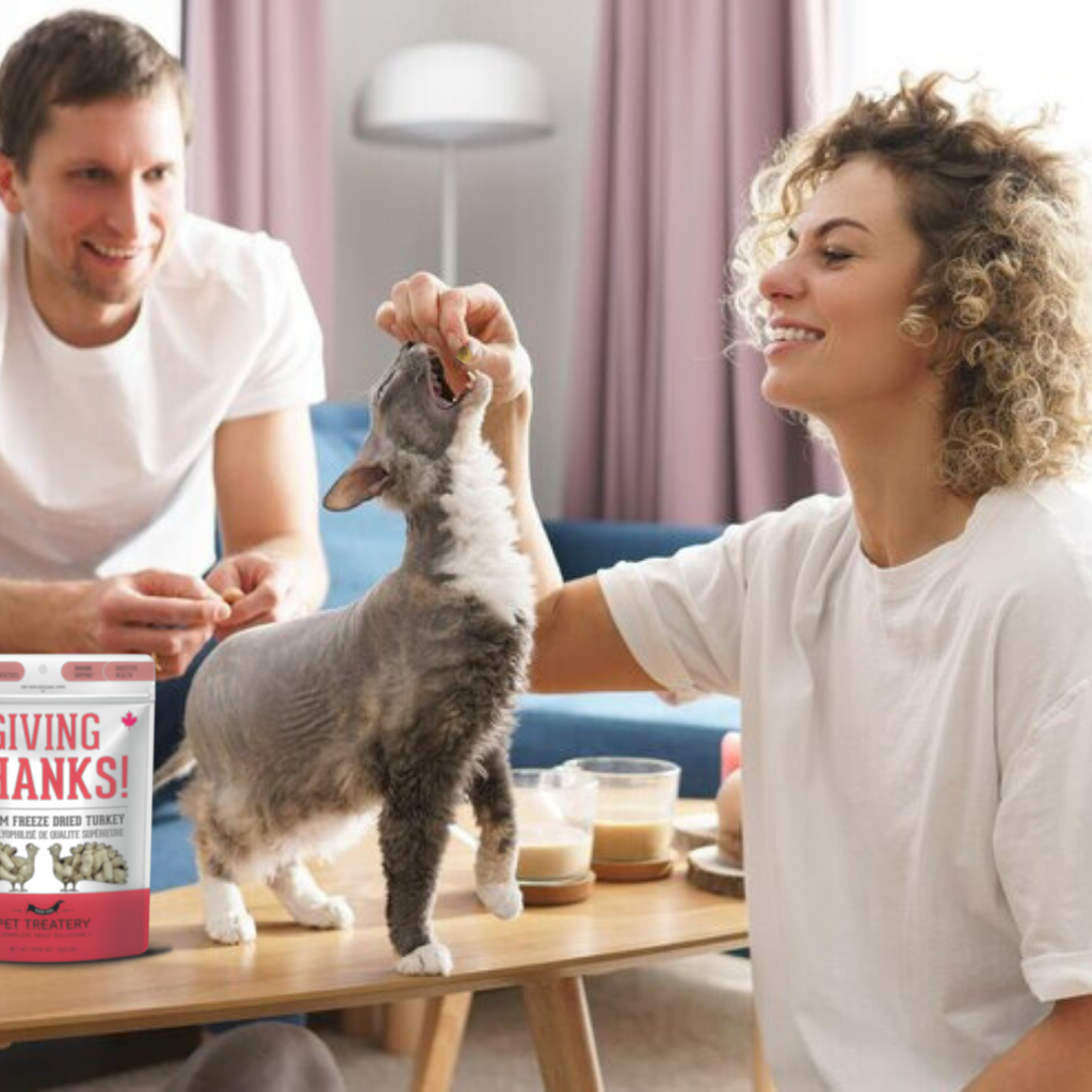 Turkey Freeze-Dried Pet Treats: High-Protein & Nutritious