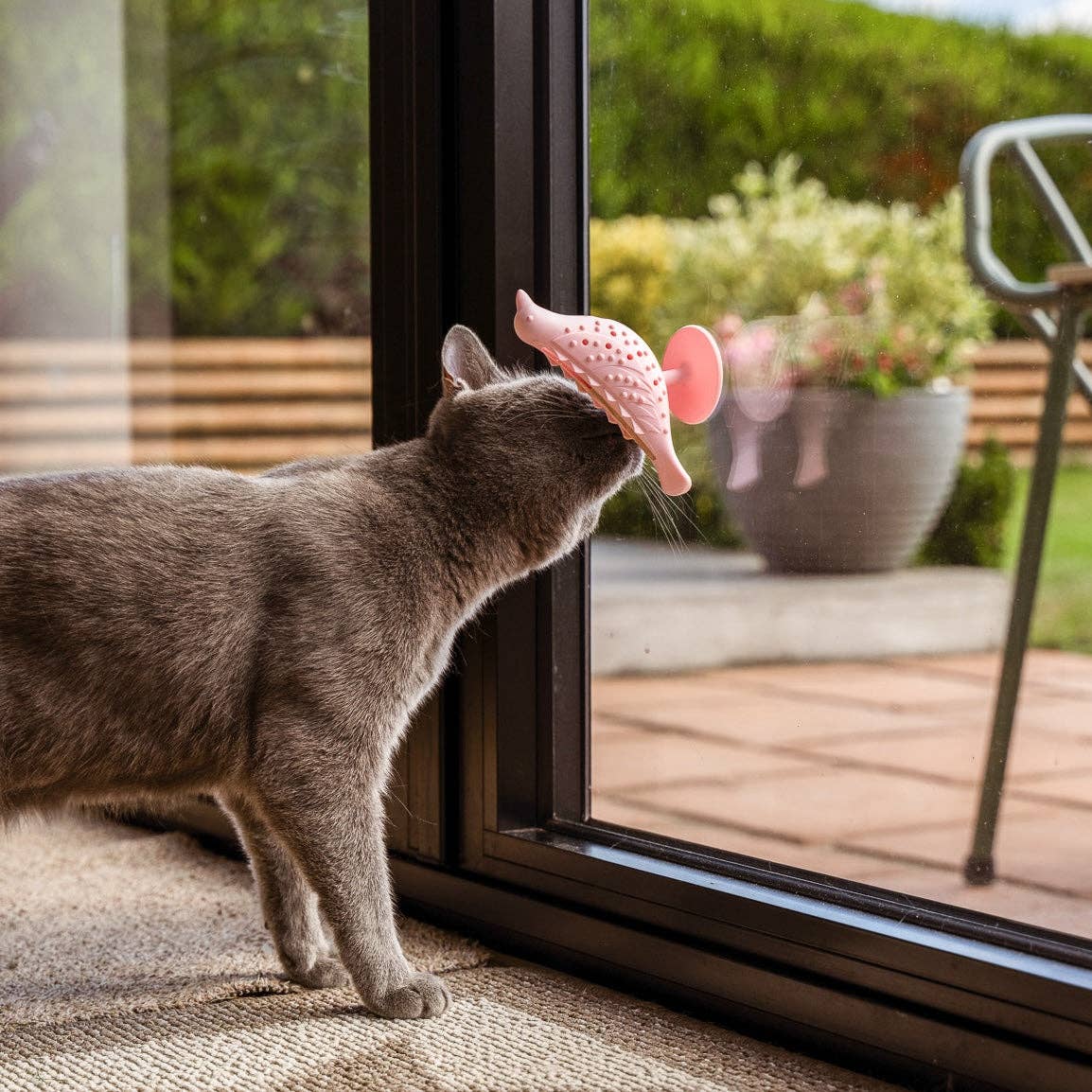 The Perch – Suction Cup Treat Puzzle Toy for Cats
