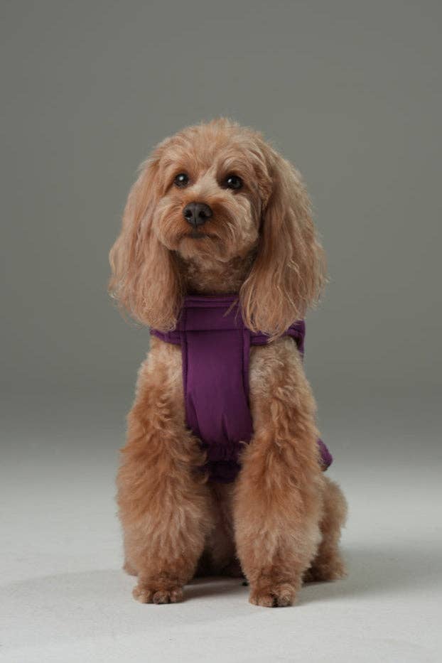 Reversible Dog Vest Jacket - Purple Caramel