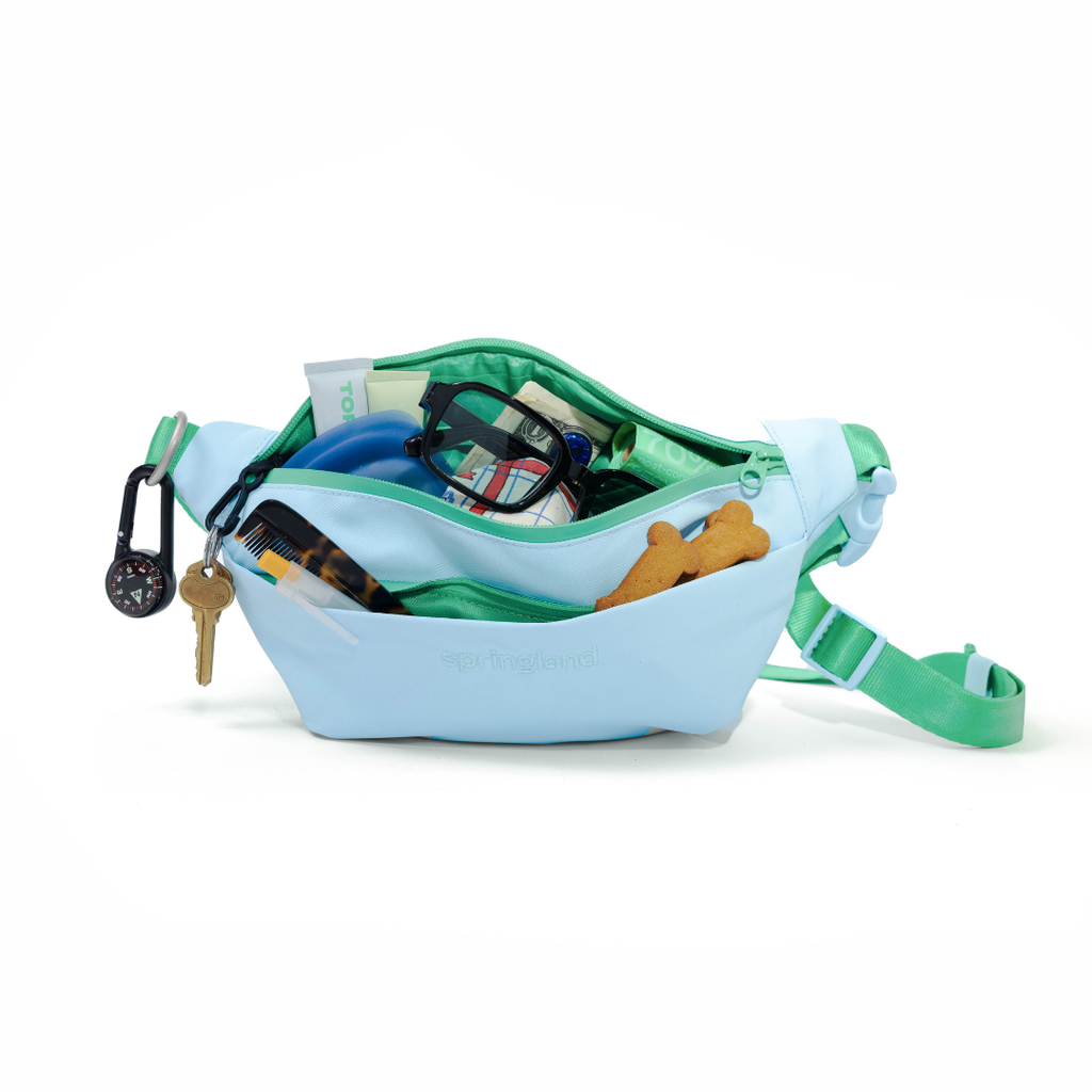 Hands-Free Dog Walking Bag WITH Leash