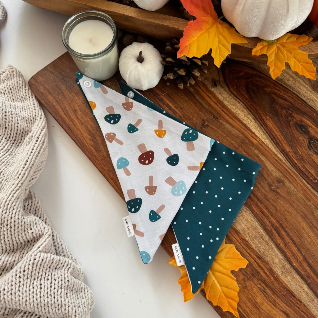 Bark & Main - Woodland Mushroom Dog Bandana