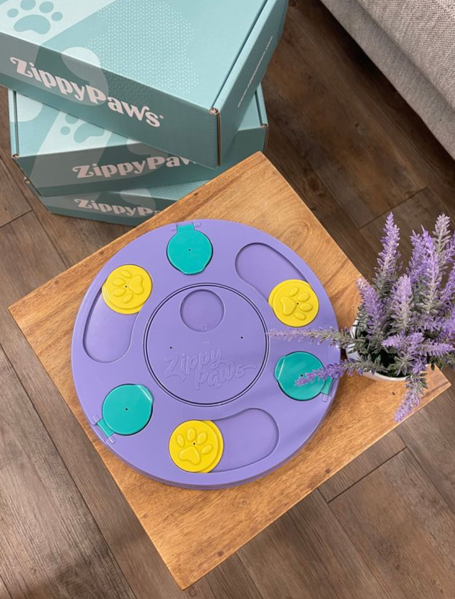 ZippyPaws - SmartyPaws Puzzler - Purple - Interactive Dog Toy