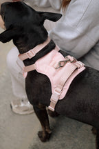 Classic 2.0 Harness Lychee