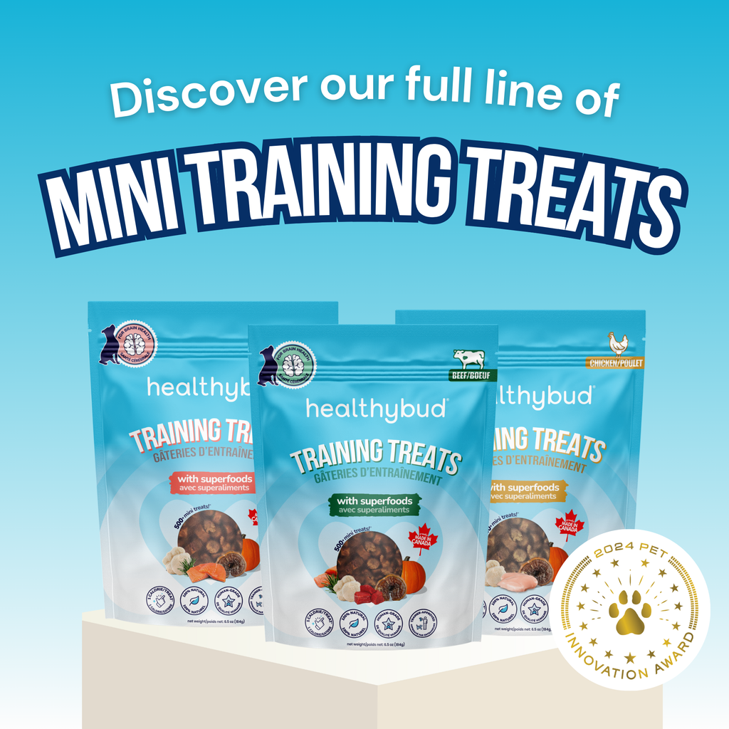 Salmon Mini Training Treat for Dogs