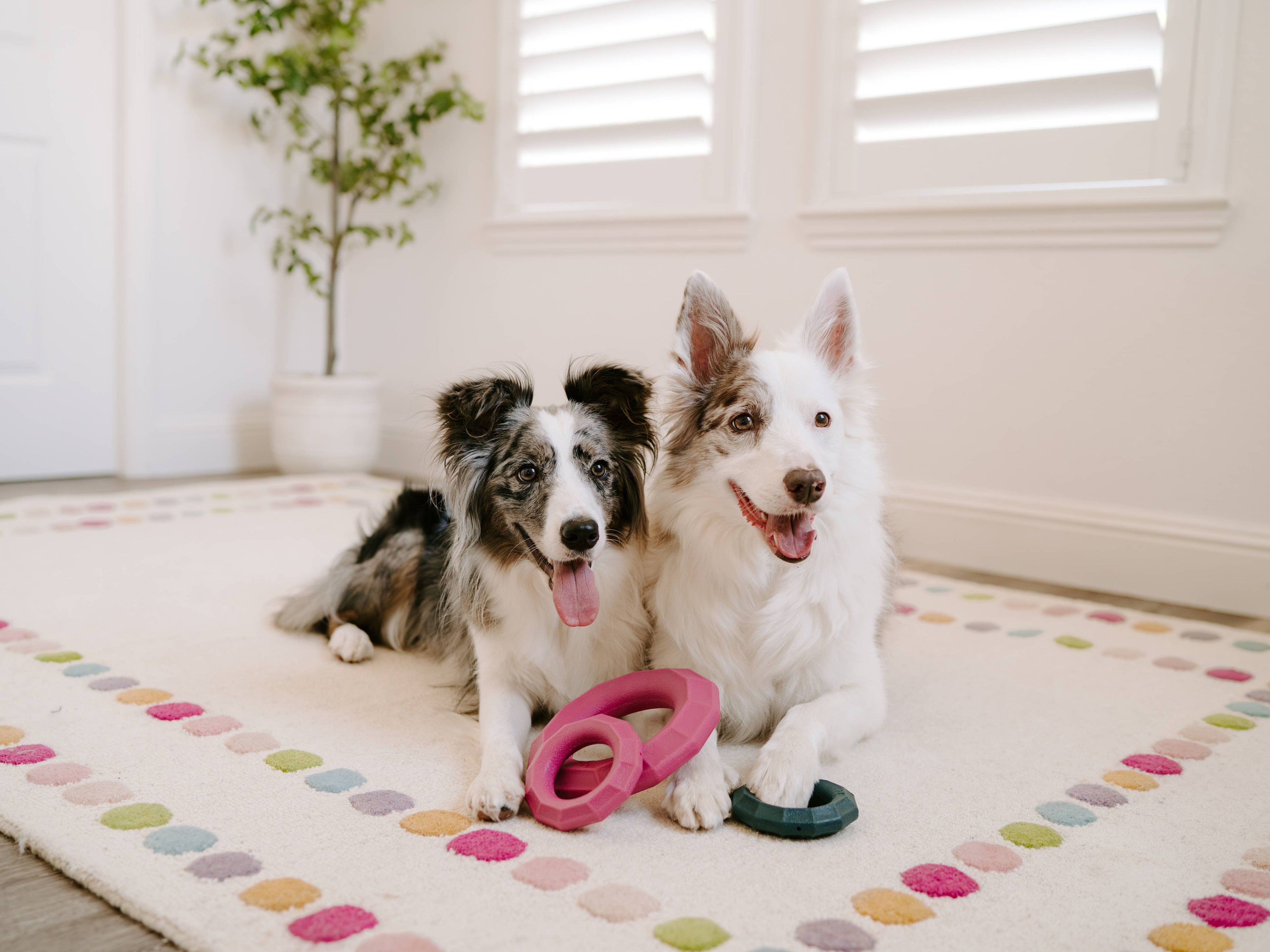 ZippyTuff+ Magenta Ring - Tough Dog Toy