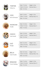 Tribeca Adjustable Velcro Raincoat