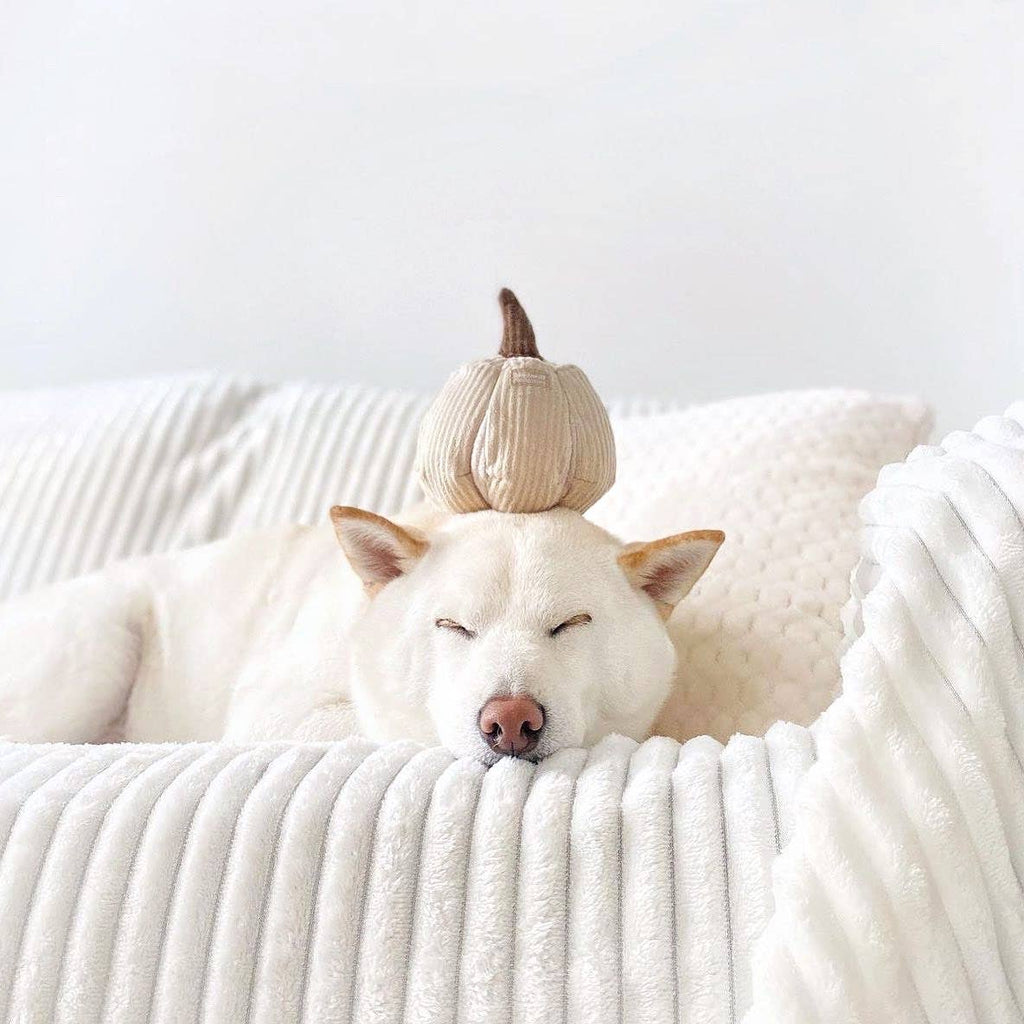 Boo Pumpkin Snuffle Toy – Silent Enrichment Toy (small pets)