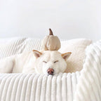 Boo Pumpkin Snuffle Toy – Silent Enrichment Toy (small pets)