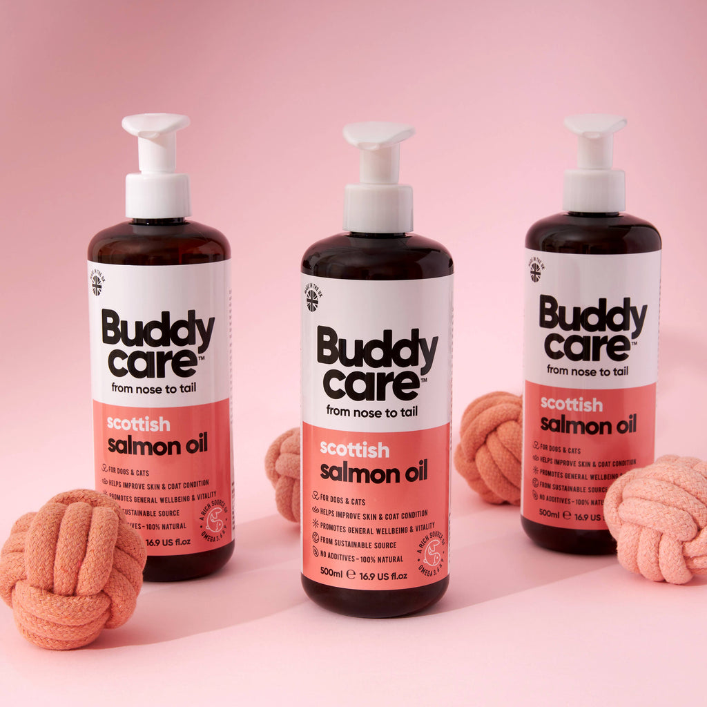 Salmon Oil - 16.9 fl oz