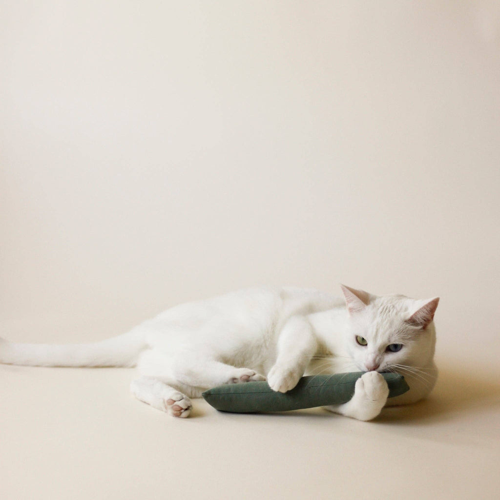 Essential Cat Kicker Toy