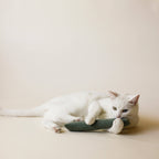 Essential Cat Kicker Toy