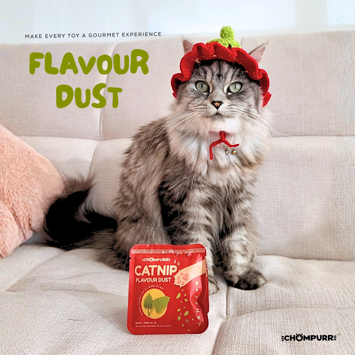 Chompurr Premium Catnip Flavour Dust – 6g