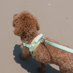 Jelly Harness – Cream Soda