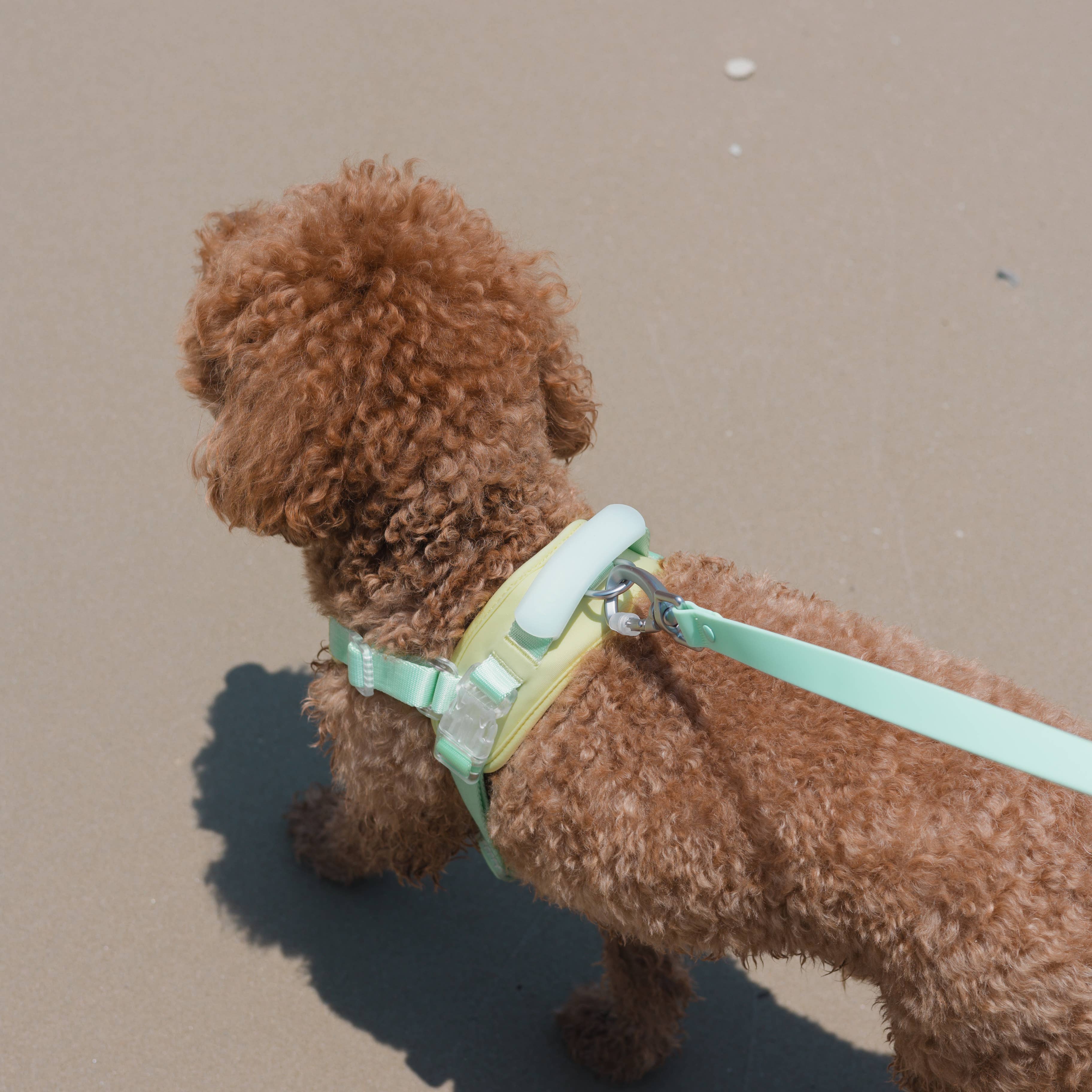 Jelly Harness – Cream Soda