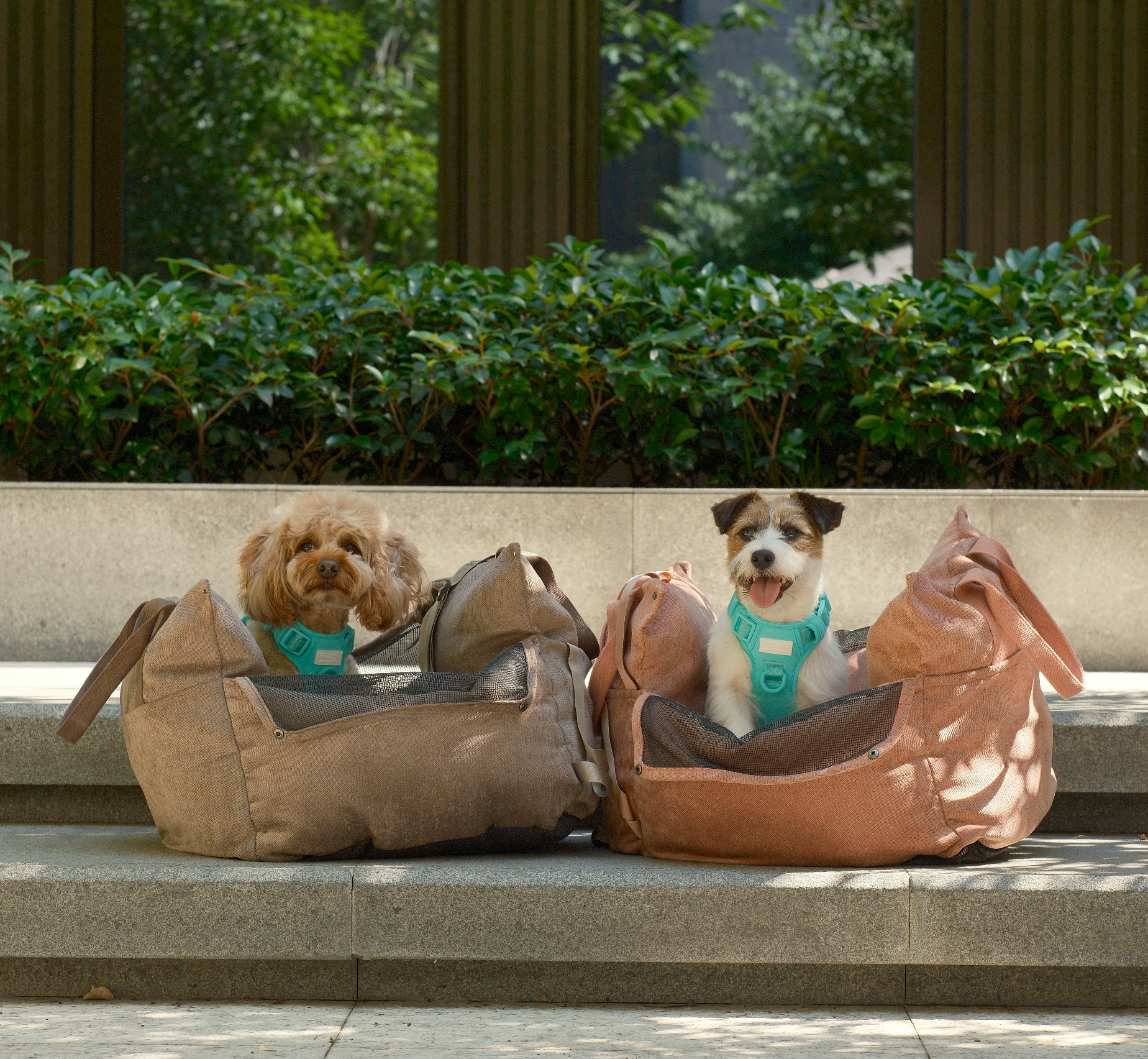 Puff Guard Dog Car Seat - Camel