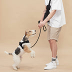 Rover Harness – Sand