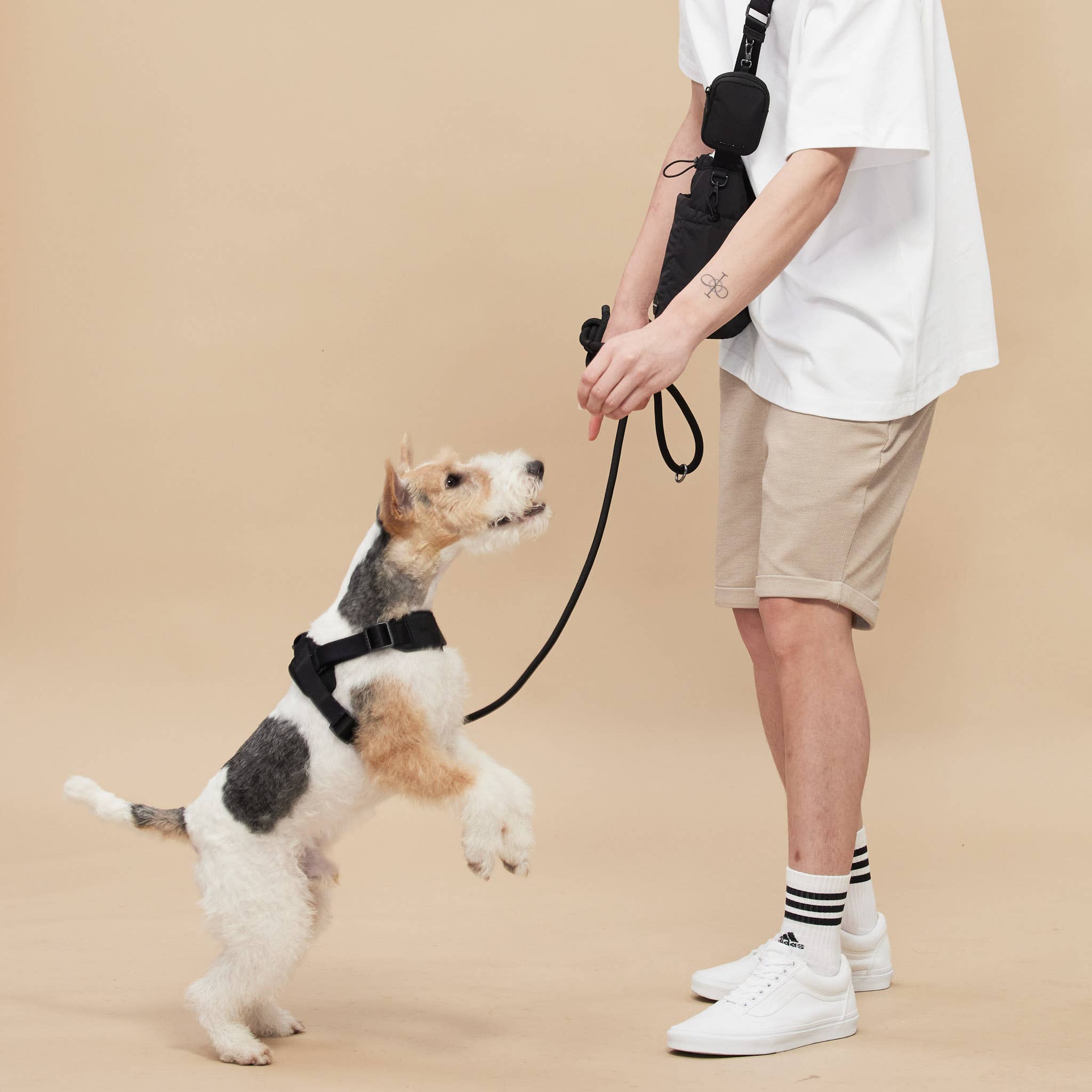 Rover Harness – Sand