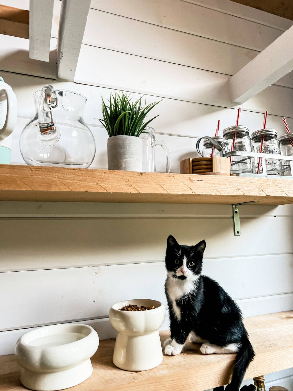 Creamy Ceramic Cat Food Bowl