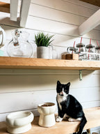 Creamy Ceramic Cat Food Bowl