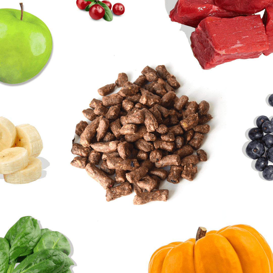 Freeze-Dried Raw Beef Meal Bites