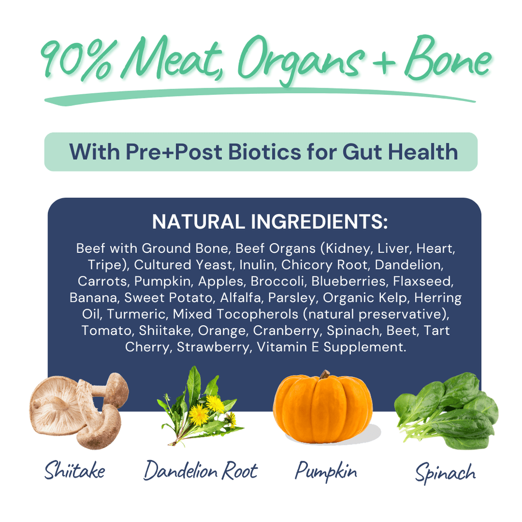 Freeze-Dried Raw Beef Meal Bites