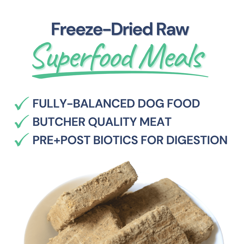 Freeze-Dried Raw Beef Meal Patties