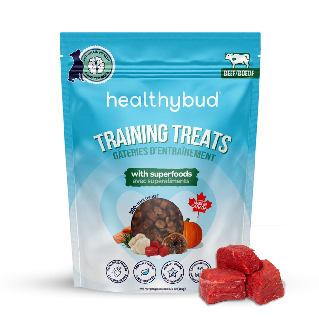 Beef Mini Training Treats