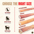 Bully Bunches 12 Inch Standard Bully Stick