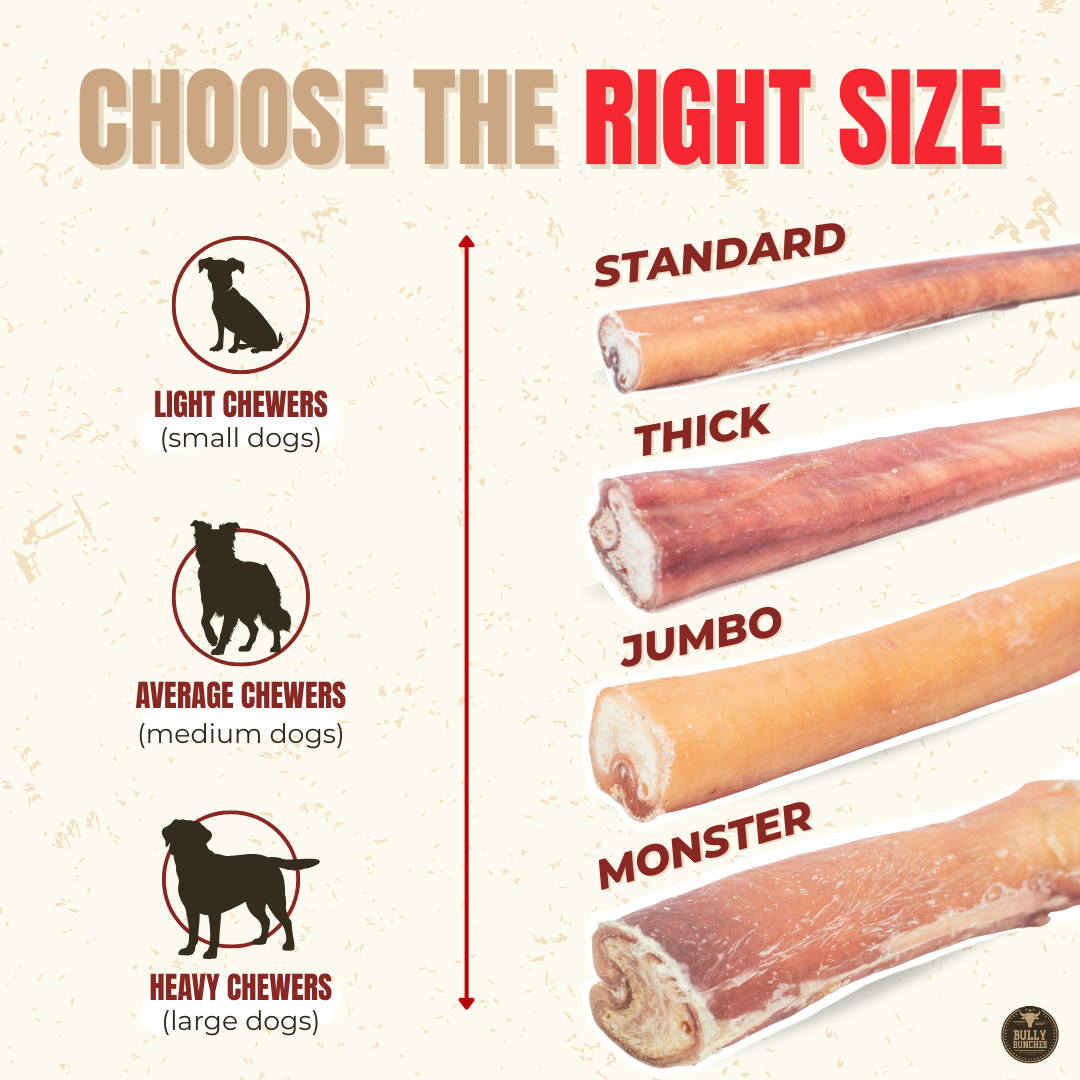 Bully Bunches 12 Inch Standard Bully Stick