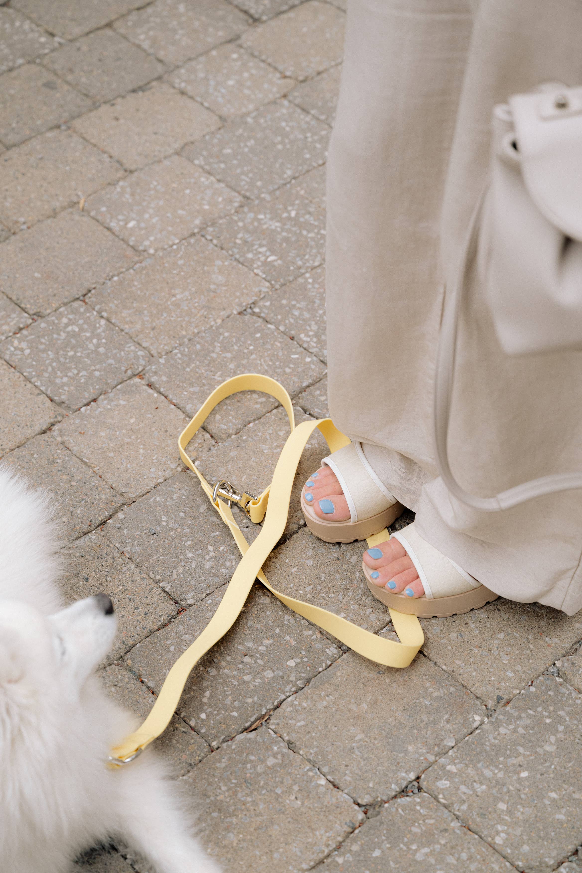 On-the-go Leash in Limoncello