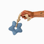 Comet's Tail Felt Toy