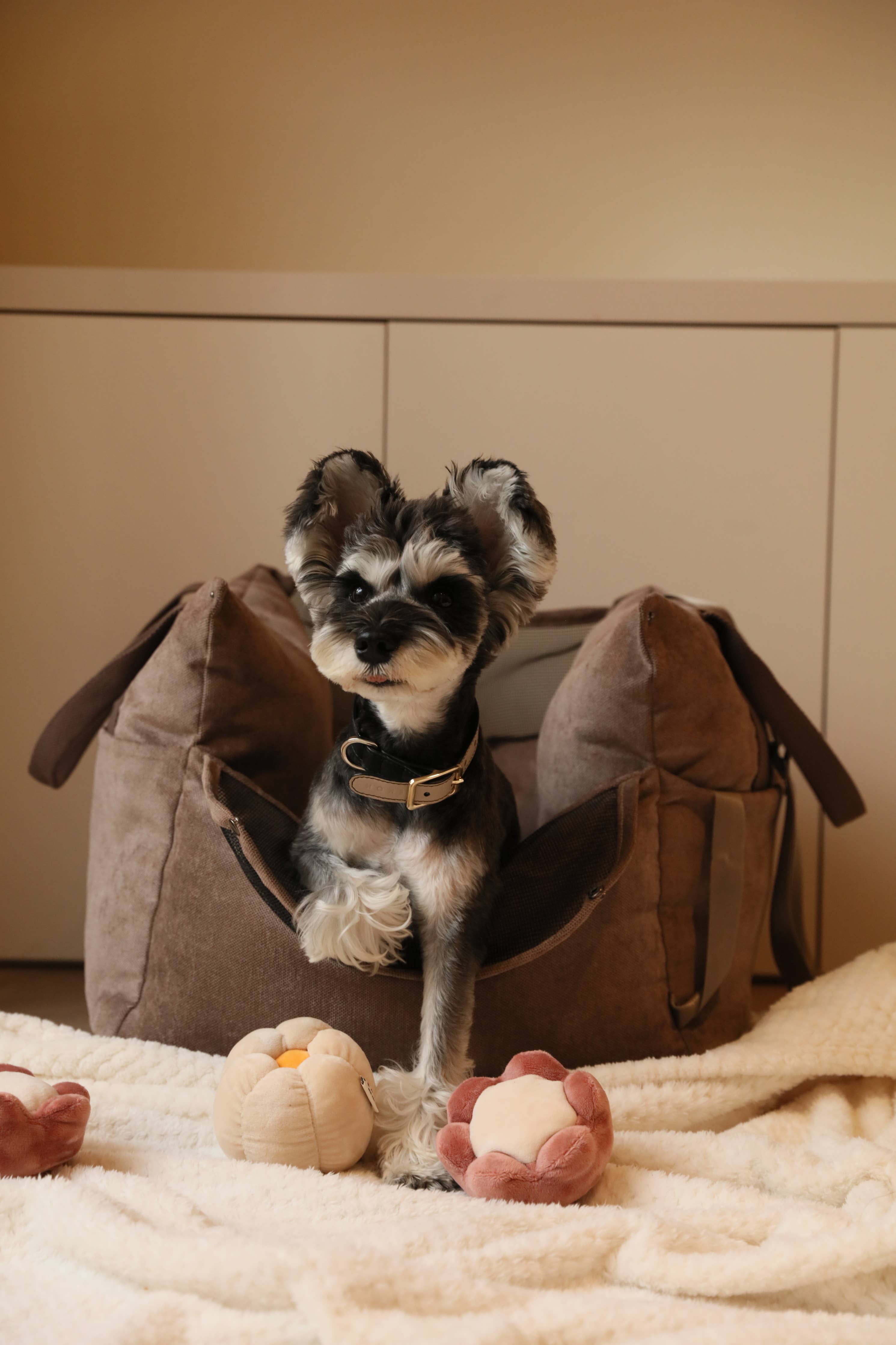 Puff Guard Dog Car Seat - Camel