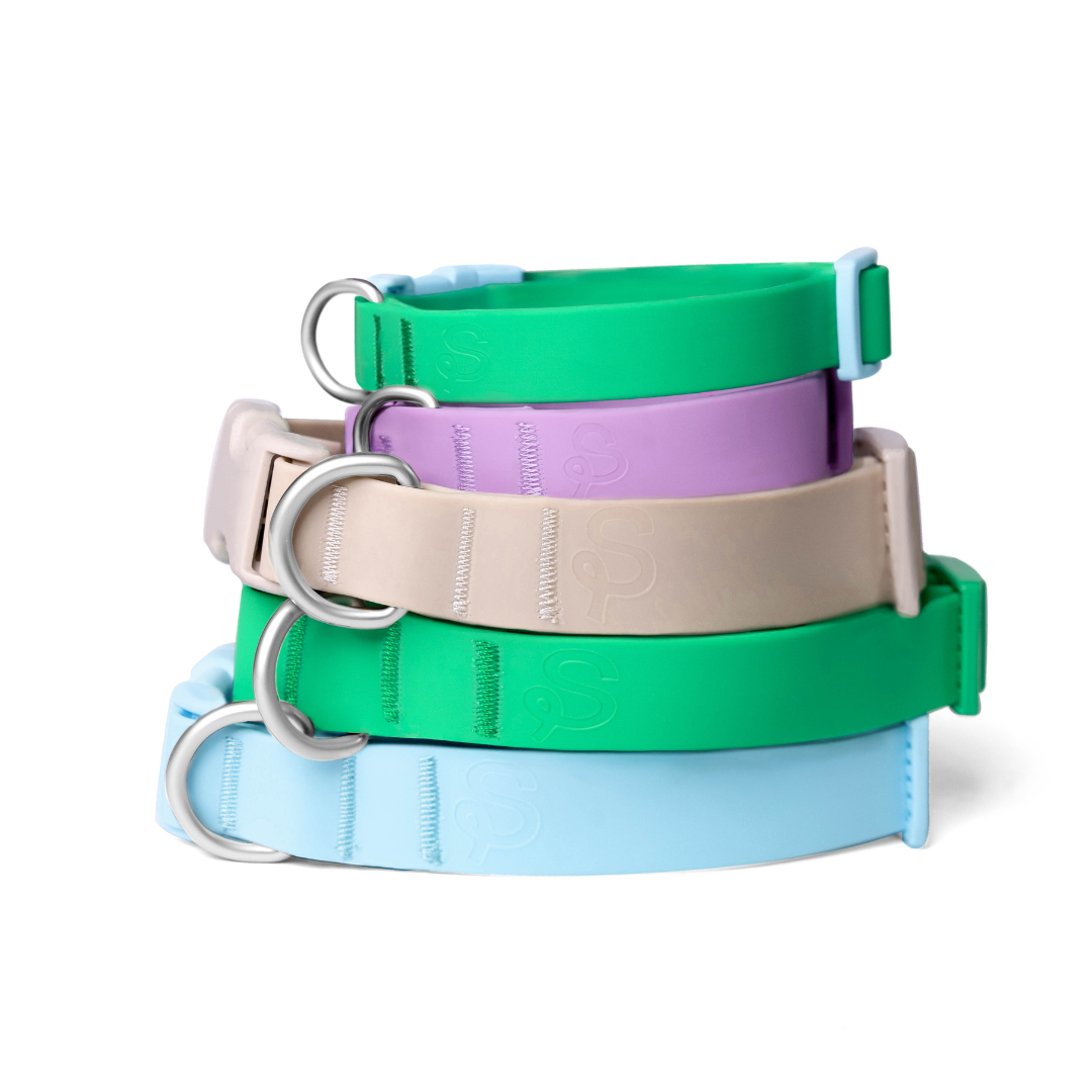 Waterproof & Adjustable Dog Collar - Lilac