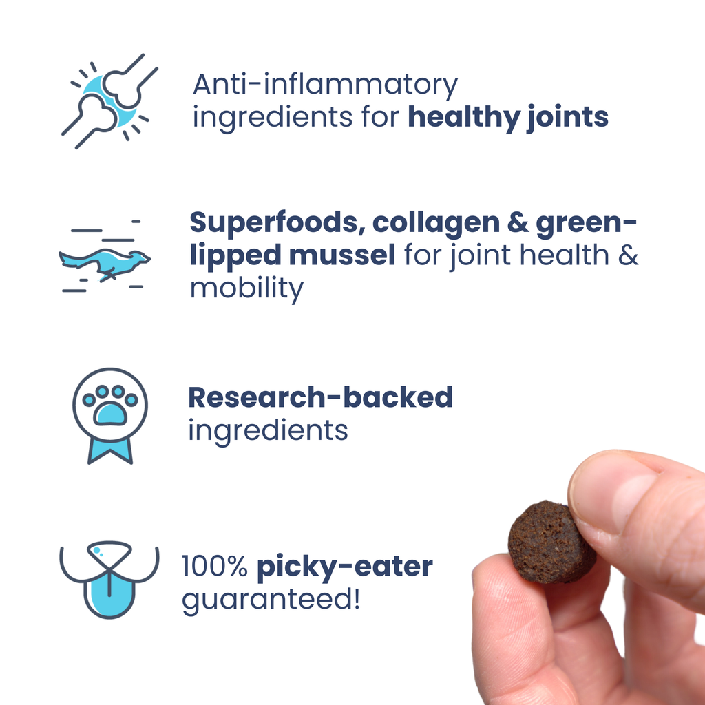 Beef Joint Booster Dog Treats