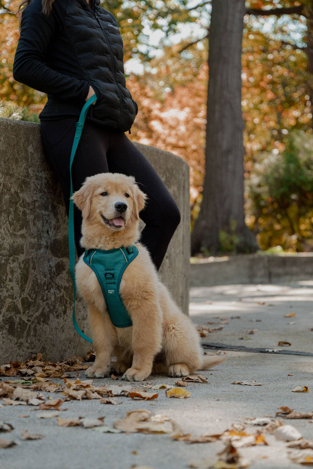 Mojito Classic 2.0 Harness