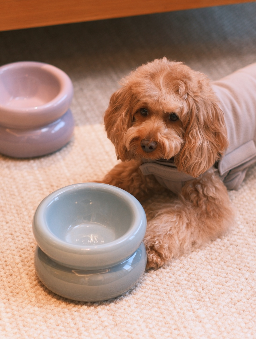 PEHOM Soufflé Pet Bowl - Frozen Blue