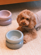 PEHOM Soufflé Pet Bowl - Frozen Blue
