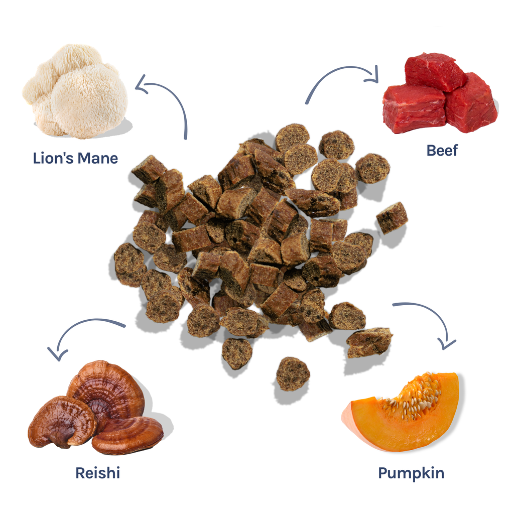 Beef Mini Training Treat for Dogs