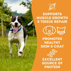 Pork & Cheese Soft Dog Treats: For Puppies and Seniors