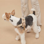 Rover Harness – Sand