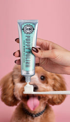 Wag & Bright Supply Co. Puppy Polish Dog Toothpaste – Filet Mignon
