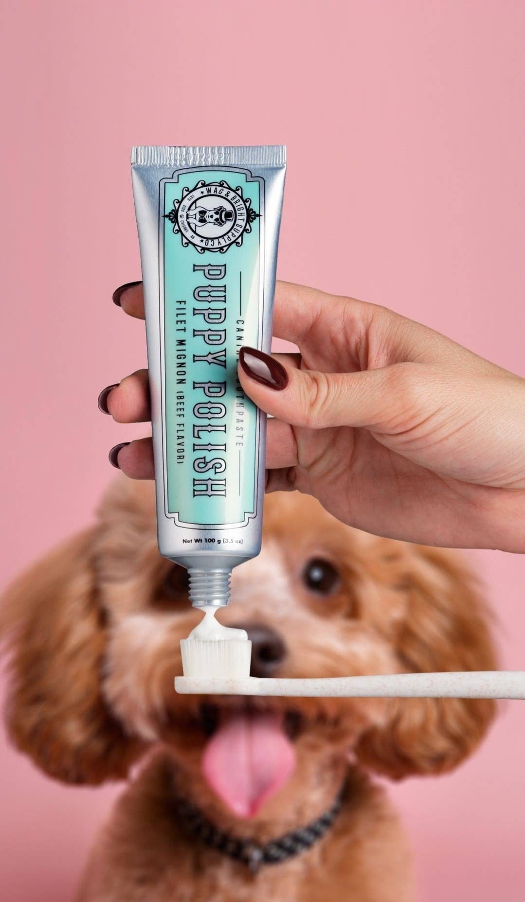 Wag & Bright Supply Co. Puppy Polish Dog Toothpaste – Filet Mignon