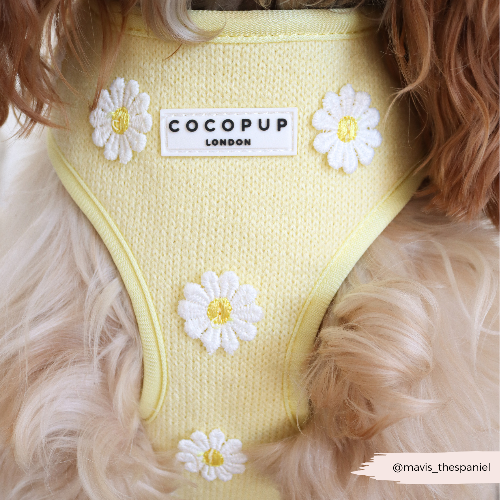 Cocopup London Buttercup Pup Adjustable Dog Harness