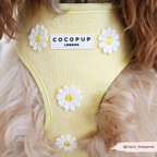 Cocopup London Buttercup Pup Adjustable Dog Harness