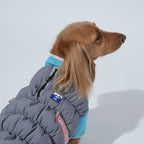 Ice Field Color Block Padding