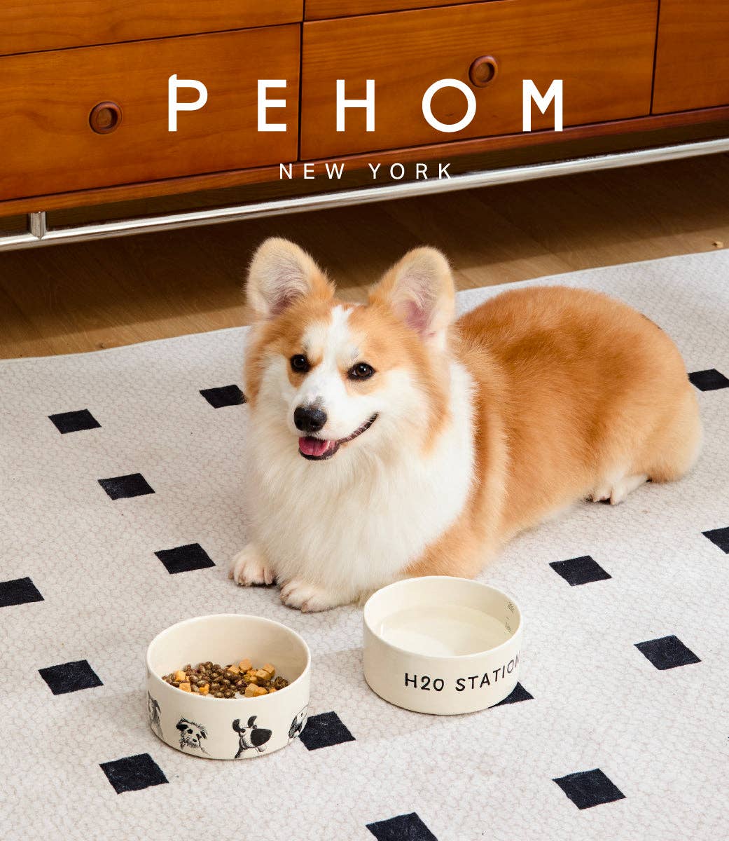 Ceramic Pet Bowl – Set of 2