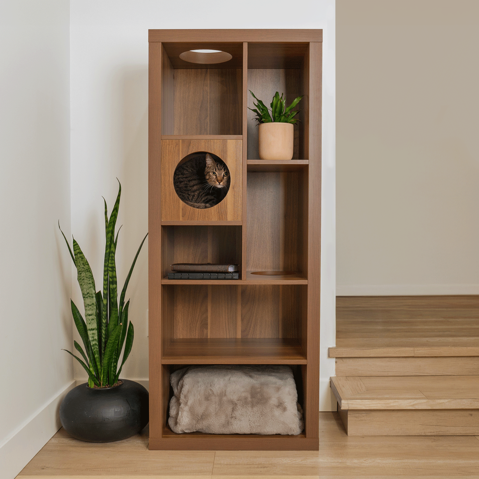 cliff jr.- cat tree bookshelf