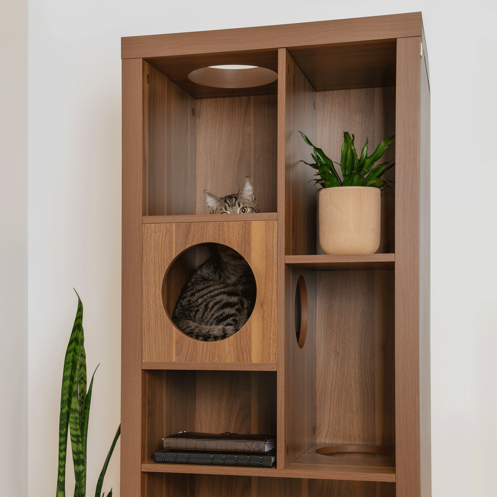 cliff jr.- cat tree bookshelf