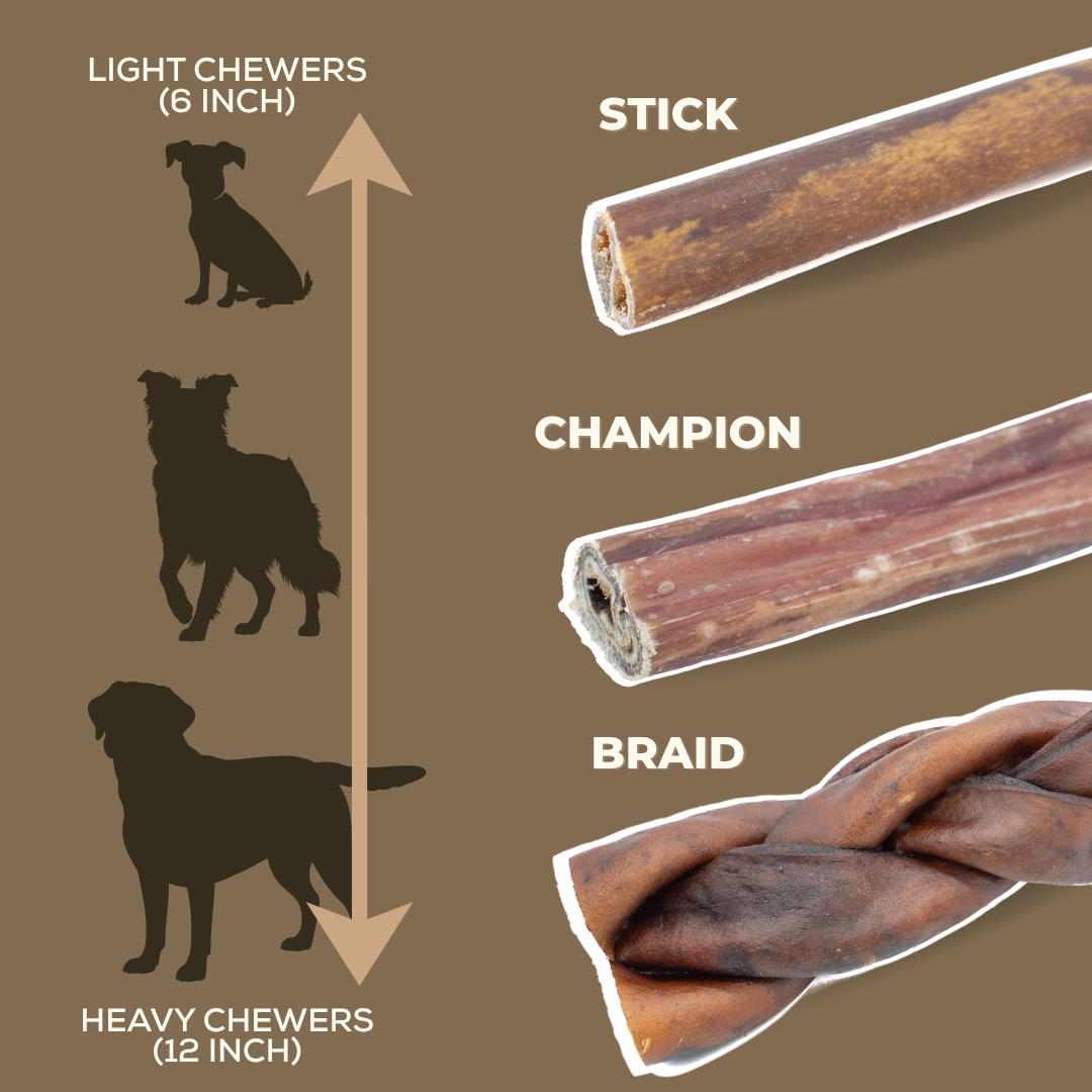 Beef Collagen Stick Dog Chew – 10–12 Inch
